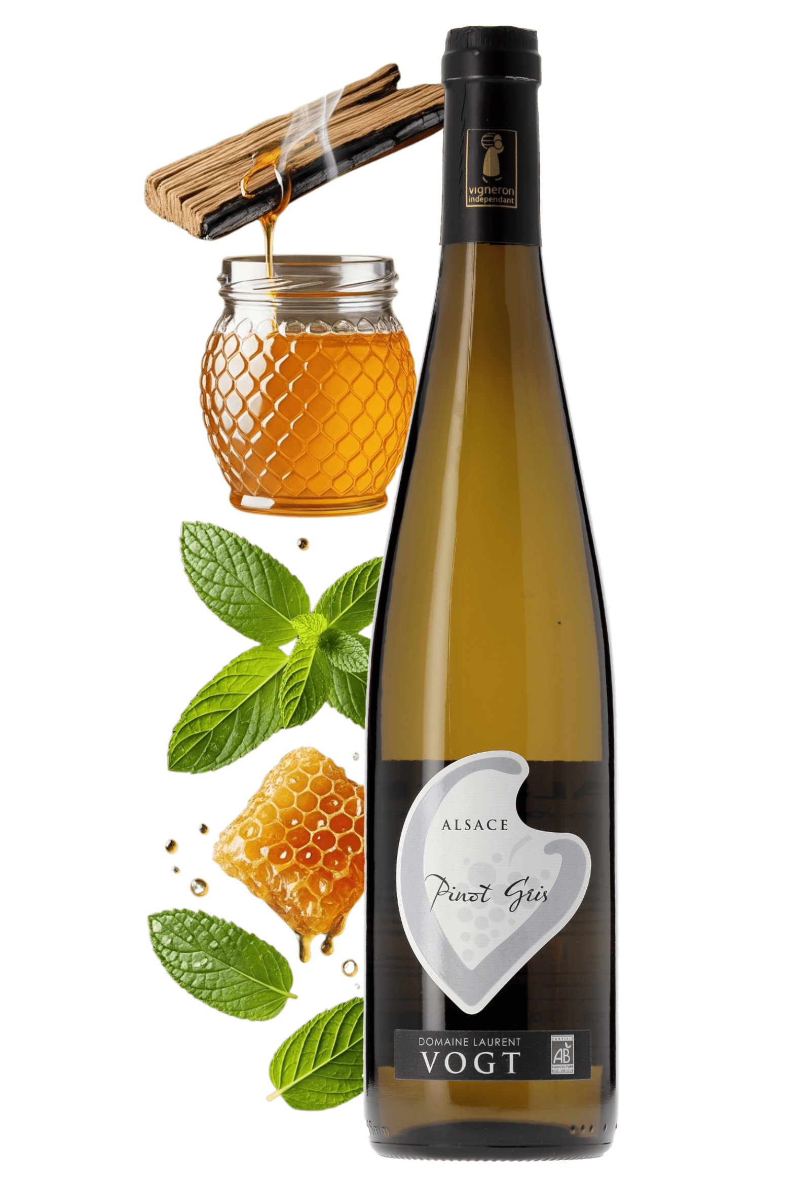 Alsace Pinot Gris Domaine Laurent Vogt - frontbs