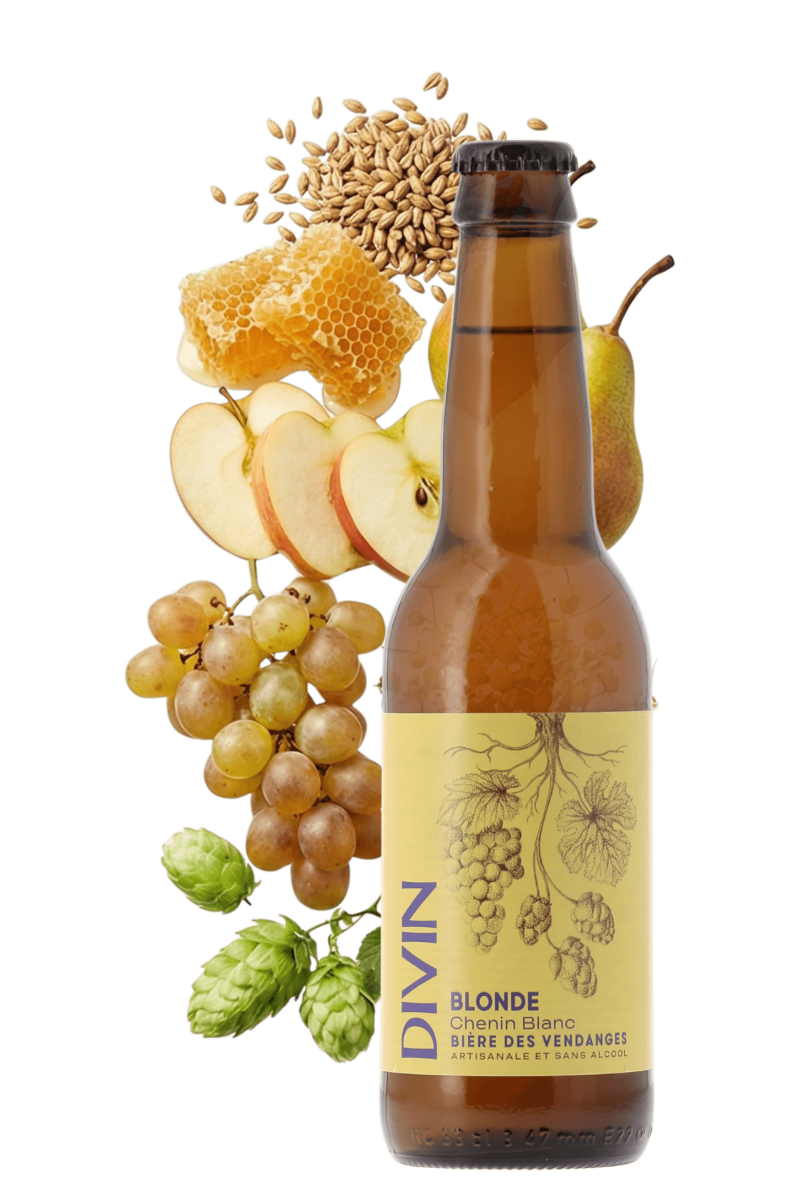Bière des Vendanges Blonde sans alcool Chenin Blanc Divin 33cl - frontbs