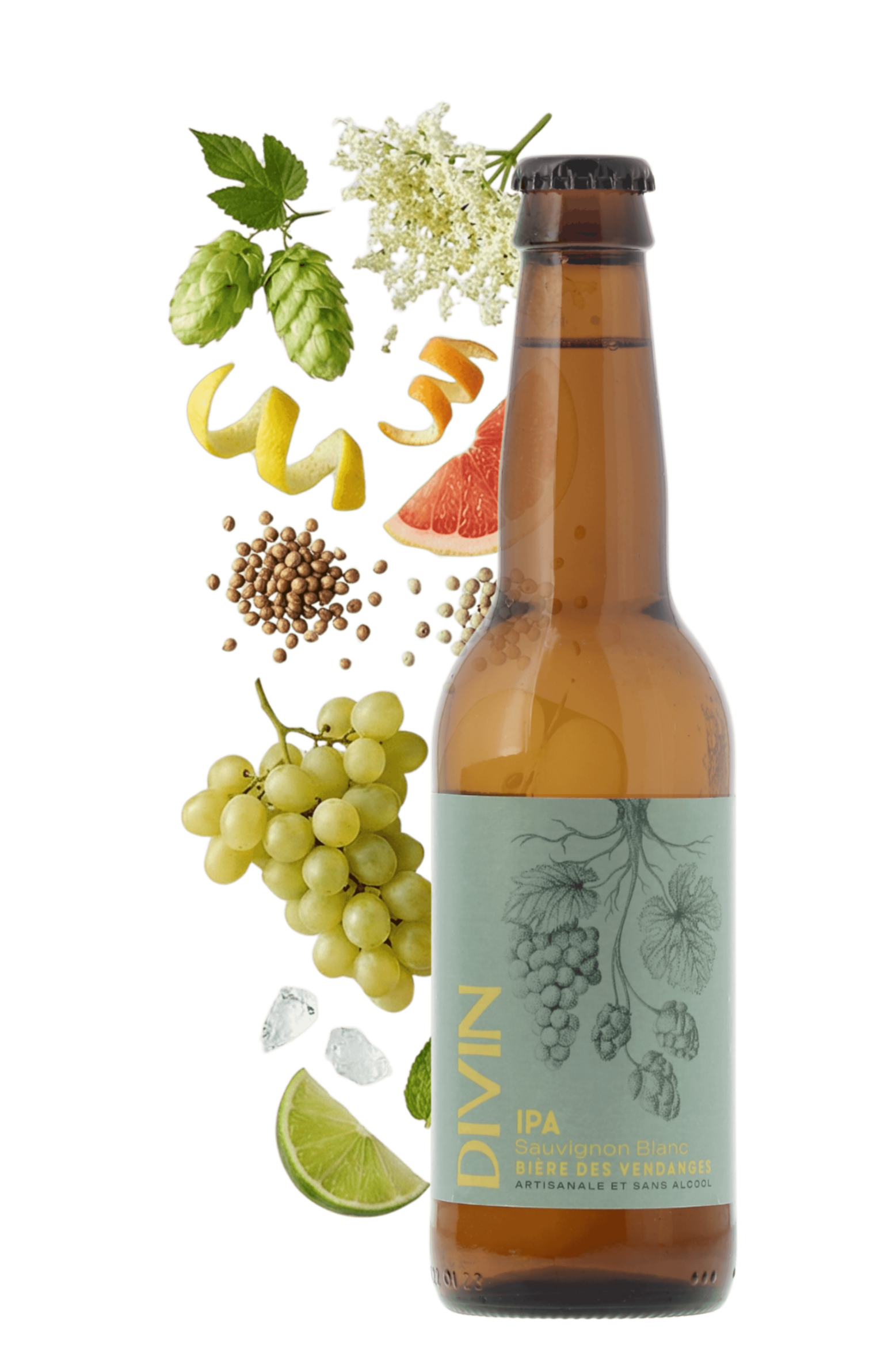 Bière des Vendanges IPA sans alcool Sauvignon Blanc Divin 33cl - frontbs