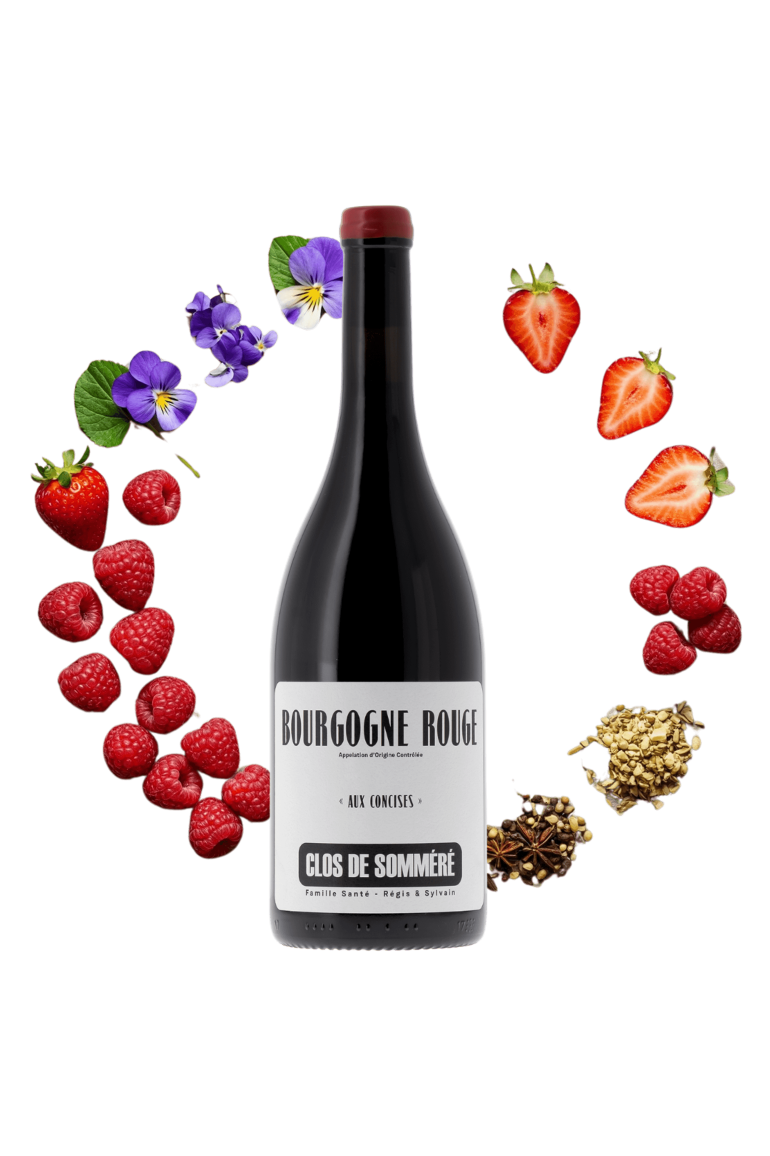 Bourgogne Aux Concises Clos de Somméré 2023 - frontbs