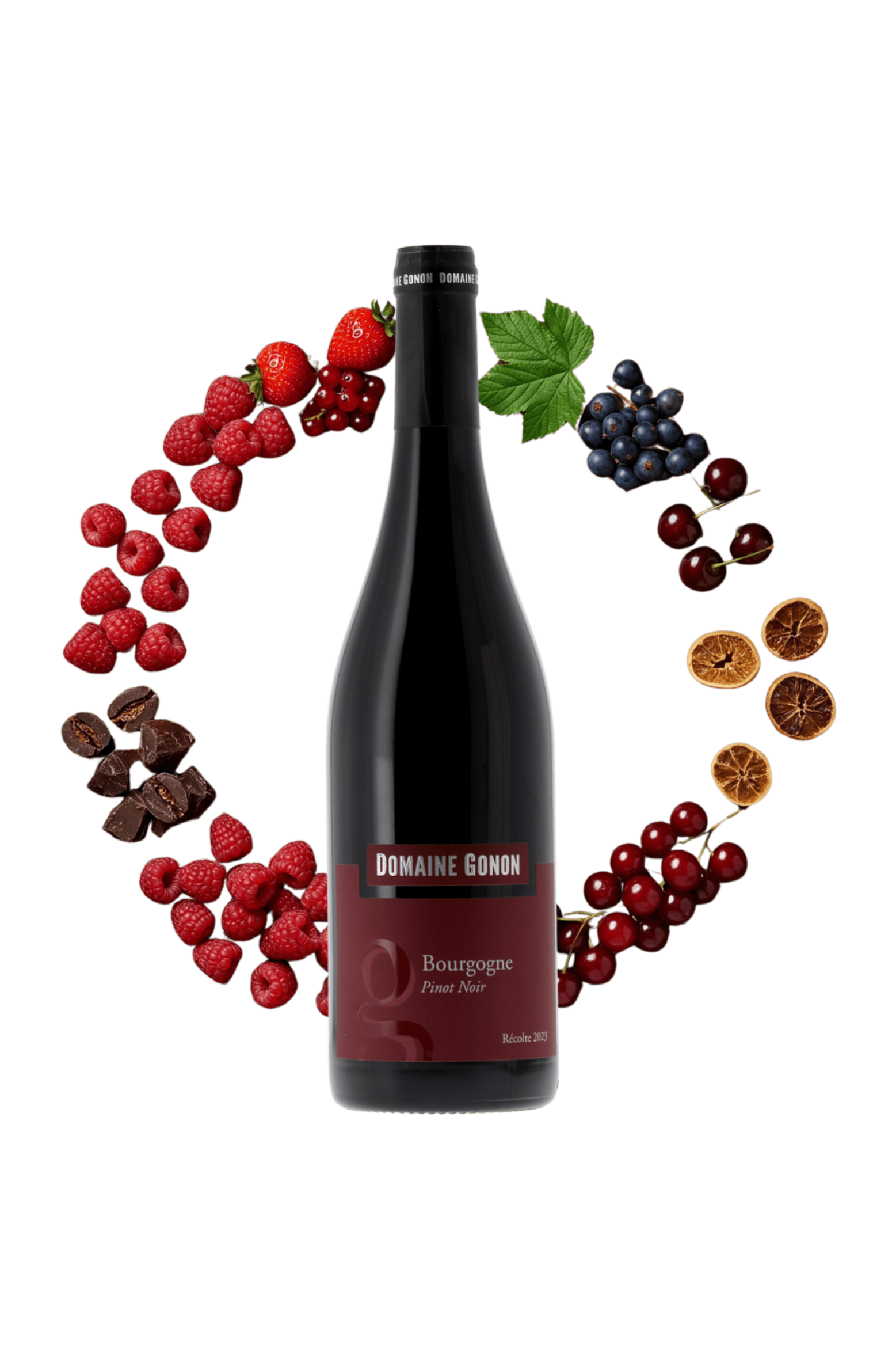 Bourgogne Pinot Noir Domaine Gonon 2023 - frontbs