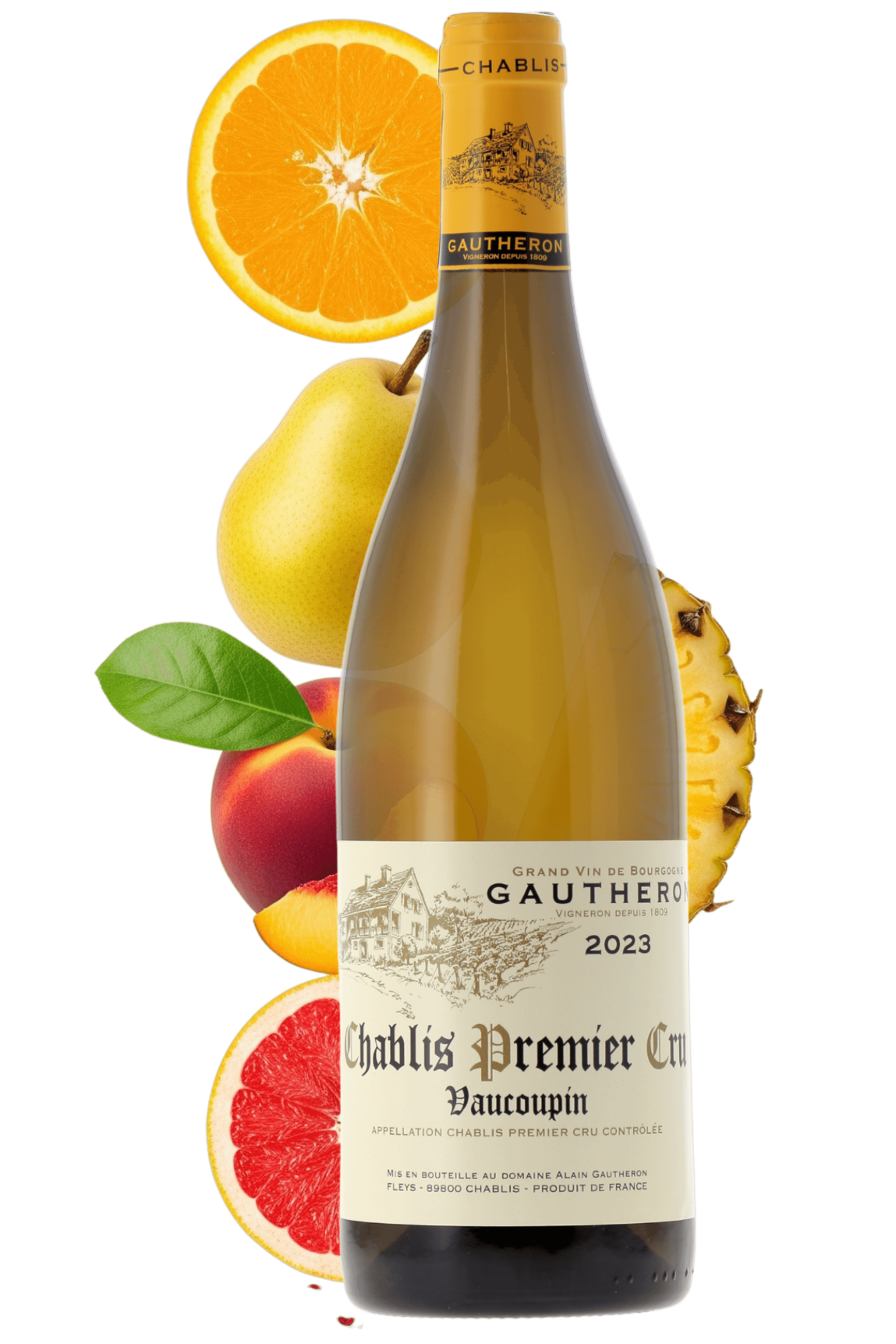 Chablis Premier Cru Vaucoupin Domaine Gautheron 2023 - frontbs
