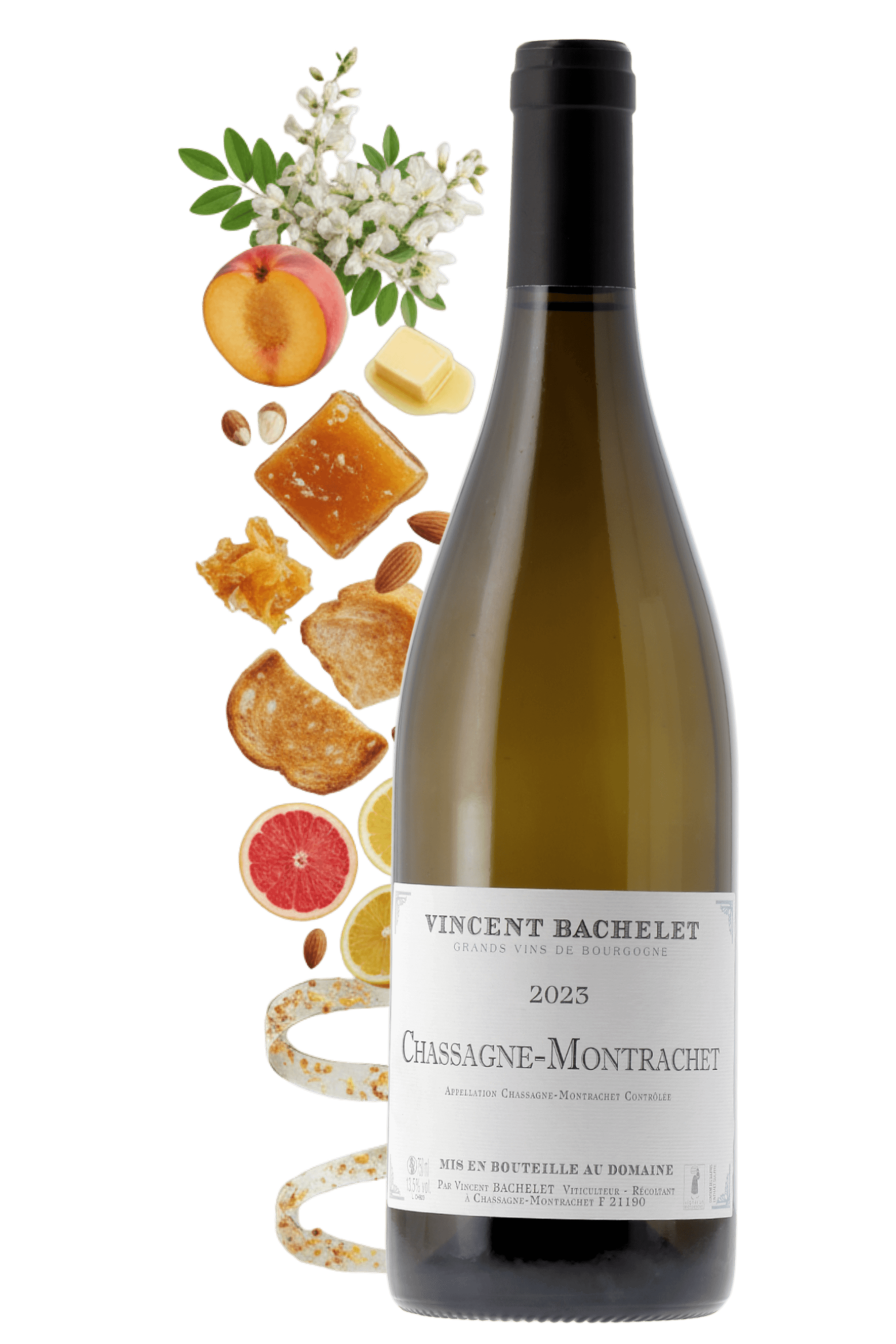 Chassagne-Montrachet Domaine Vincent Bachelet 2023 - frontbs
