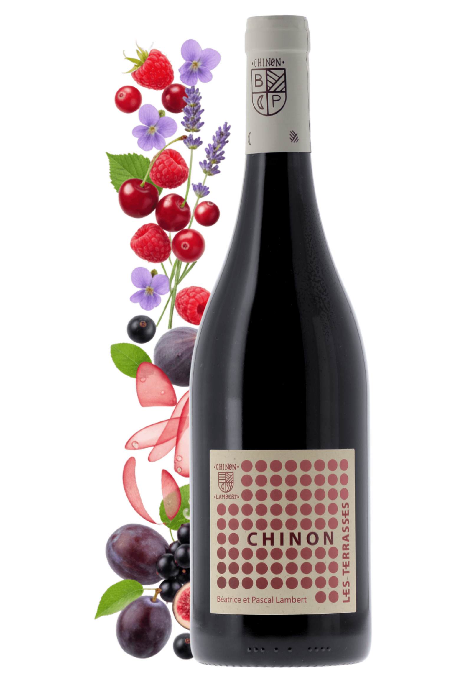 Chinon Les Terrasses Domaine Lambert 2023 - frontbs