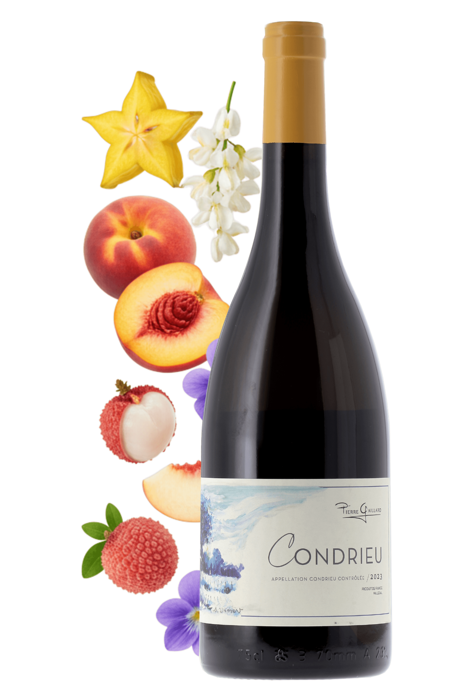 Condrieu Domaine Pierre Gaillard 2023 - frontbs