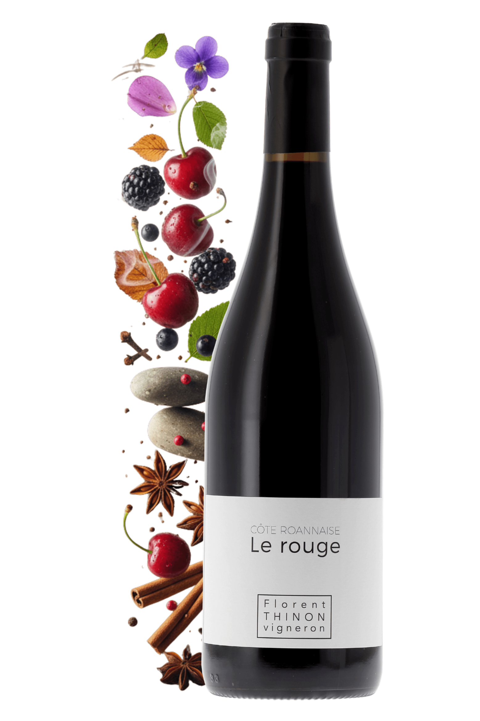 Côte Roannaise Le Rouge Domaine Florent Thinon 2024 - frontbs