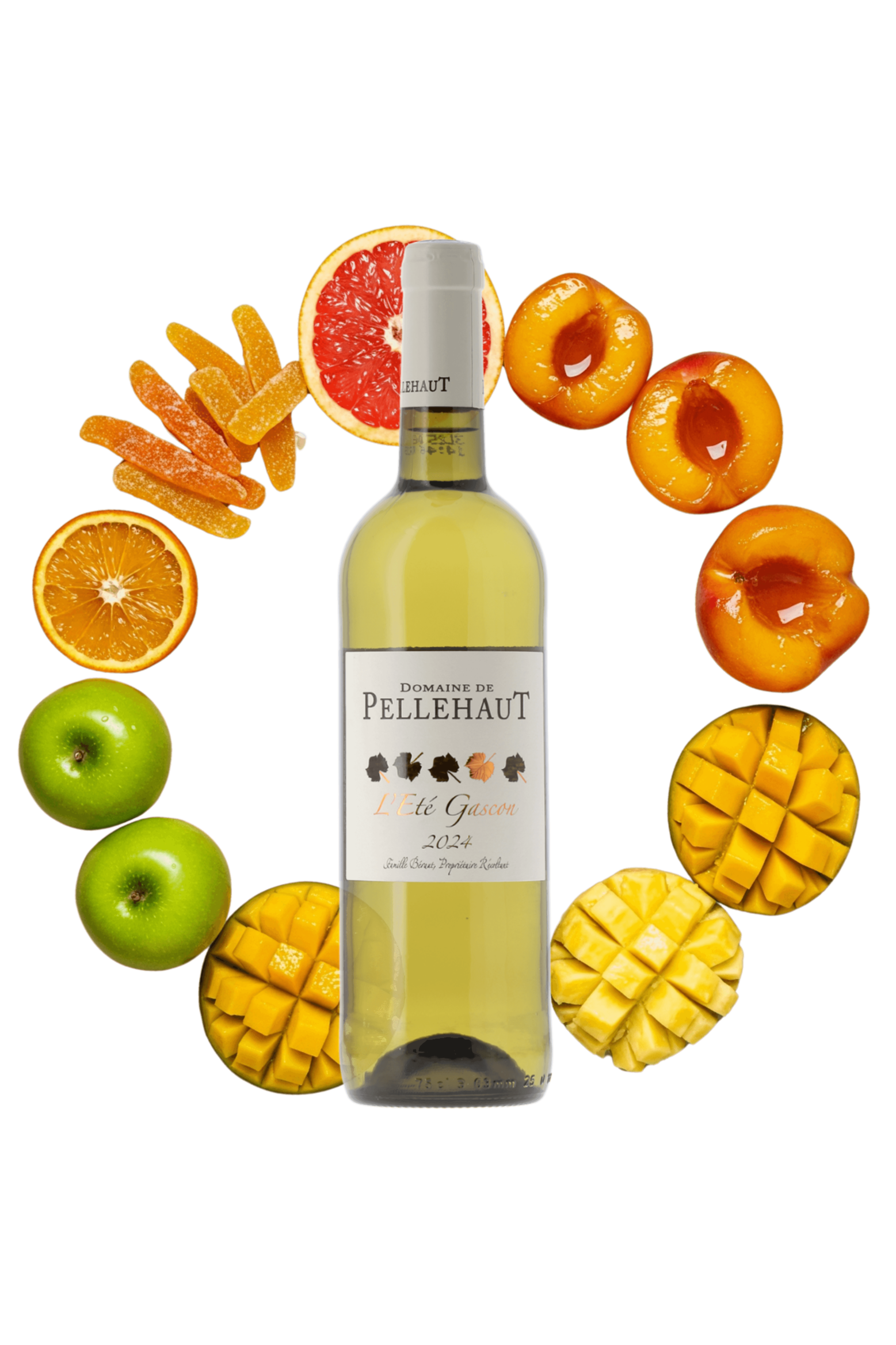 Côtes de Gascogne L'Eté Gascon Domaine de Pellehaut 2024 - frontbs