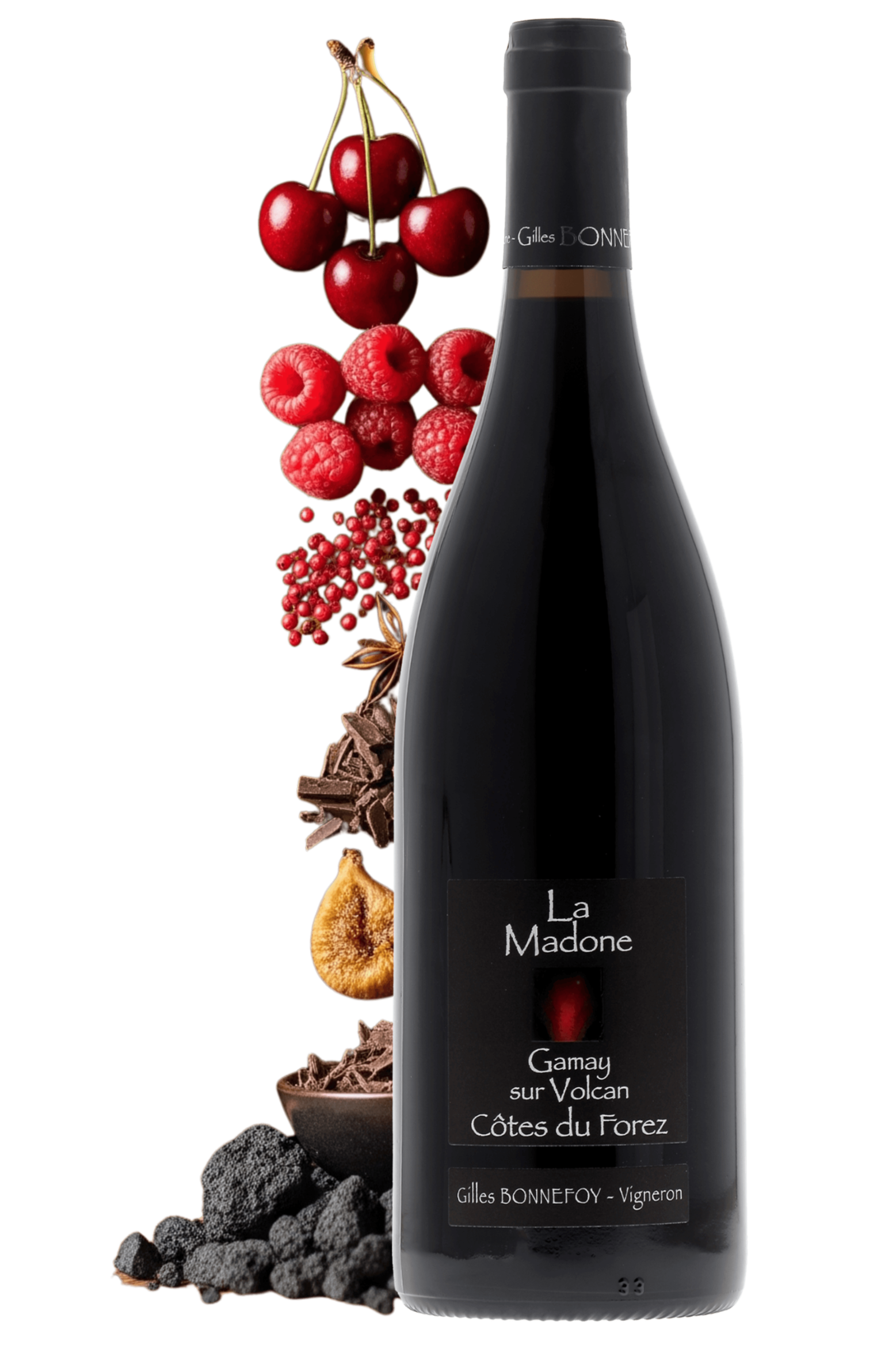 Côtes du Forez La Madone Les Vins de la Madone 2024 - frontbs