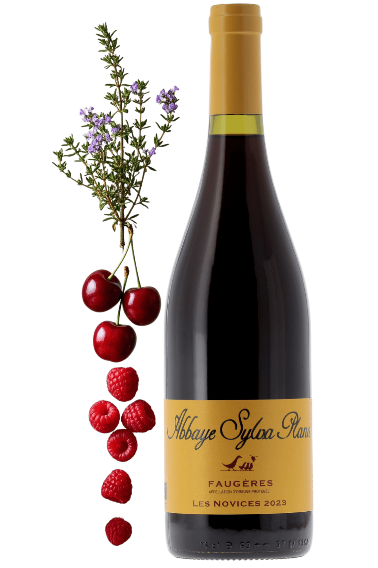 Faugères Les Novices Abbaye Sylva Plana 2023 - frontbs