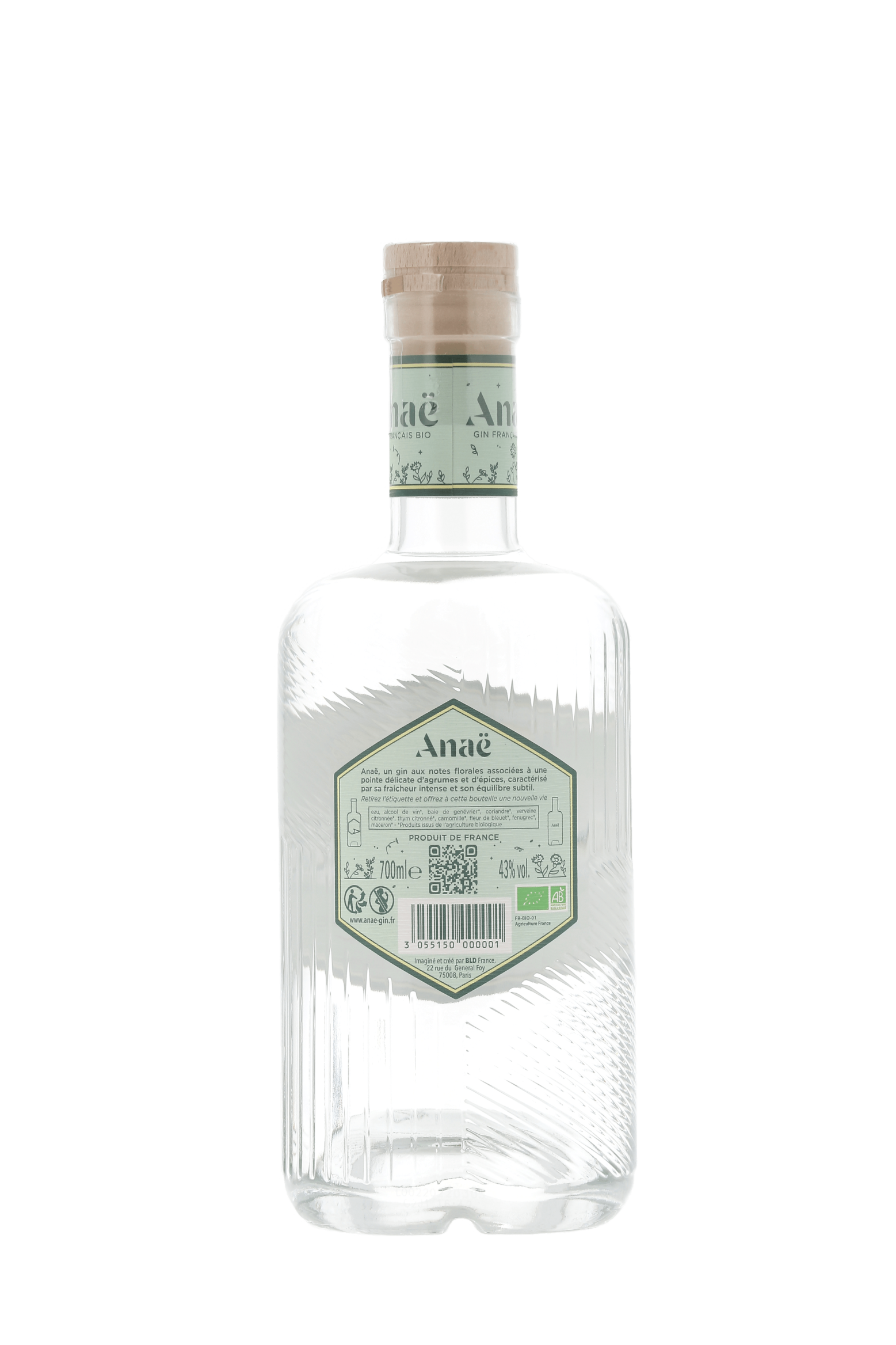 GIN - Anaë - frontbs