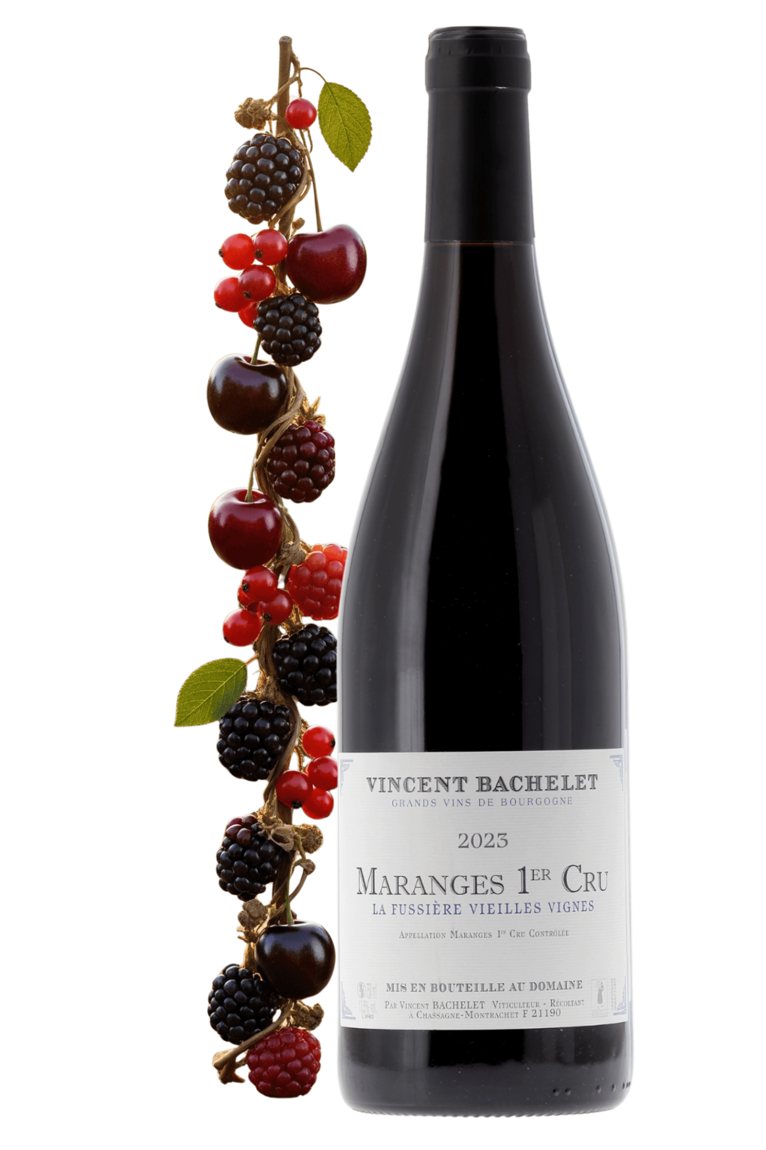 Maranges Premier Cru La Fussière Domaine Vincent Bachelet 2023 - frontbs