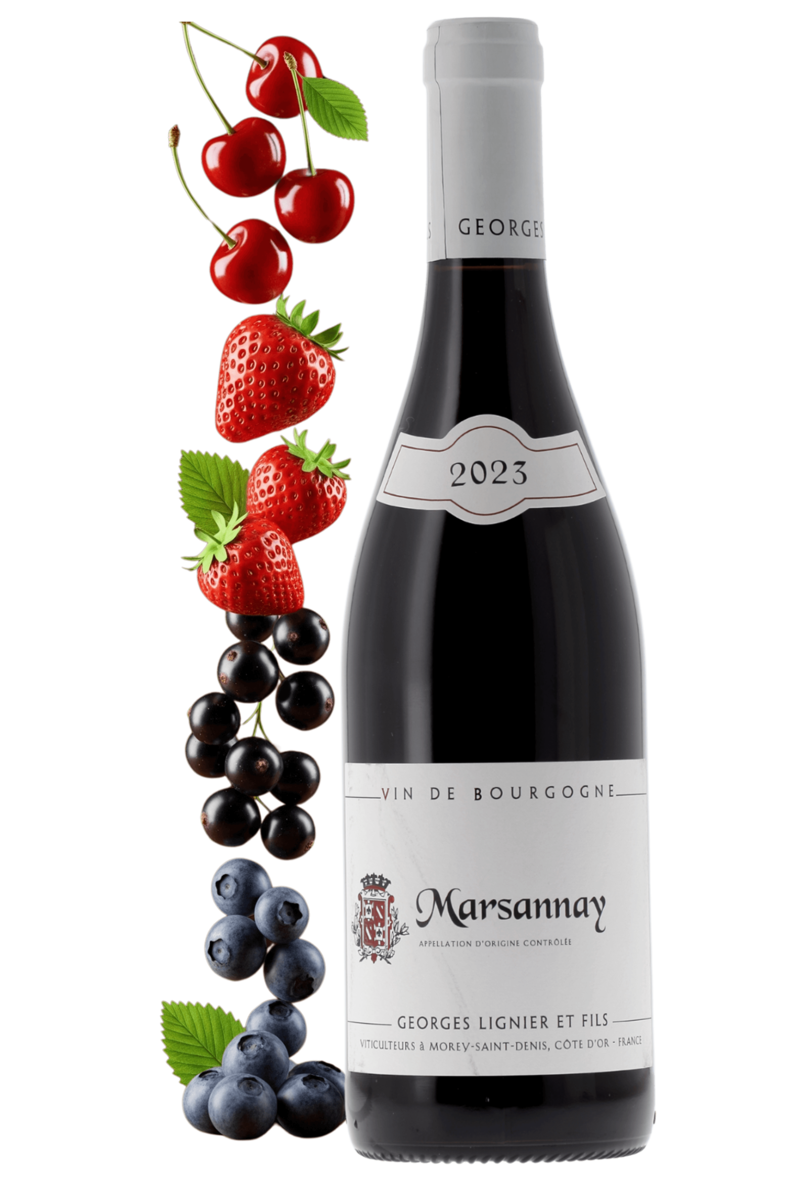 Marsannay Domaine Georges Lignier & Fils 2023 - frontbs