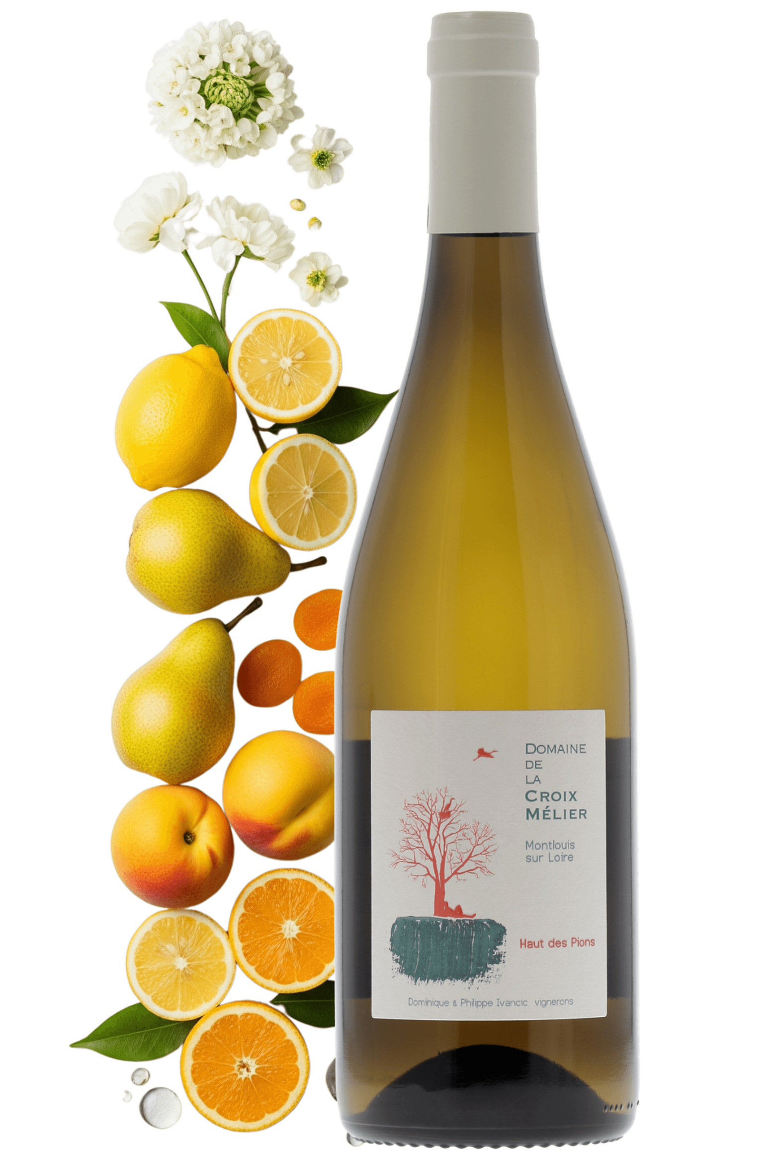 Montlouis-sur-Loire Le Haut des Pions Domaine de la Croix Mélier 2022 - frontbs