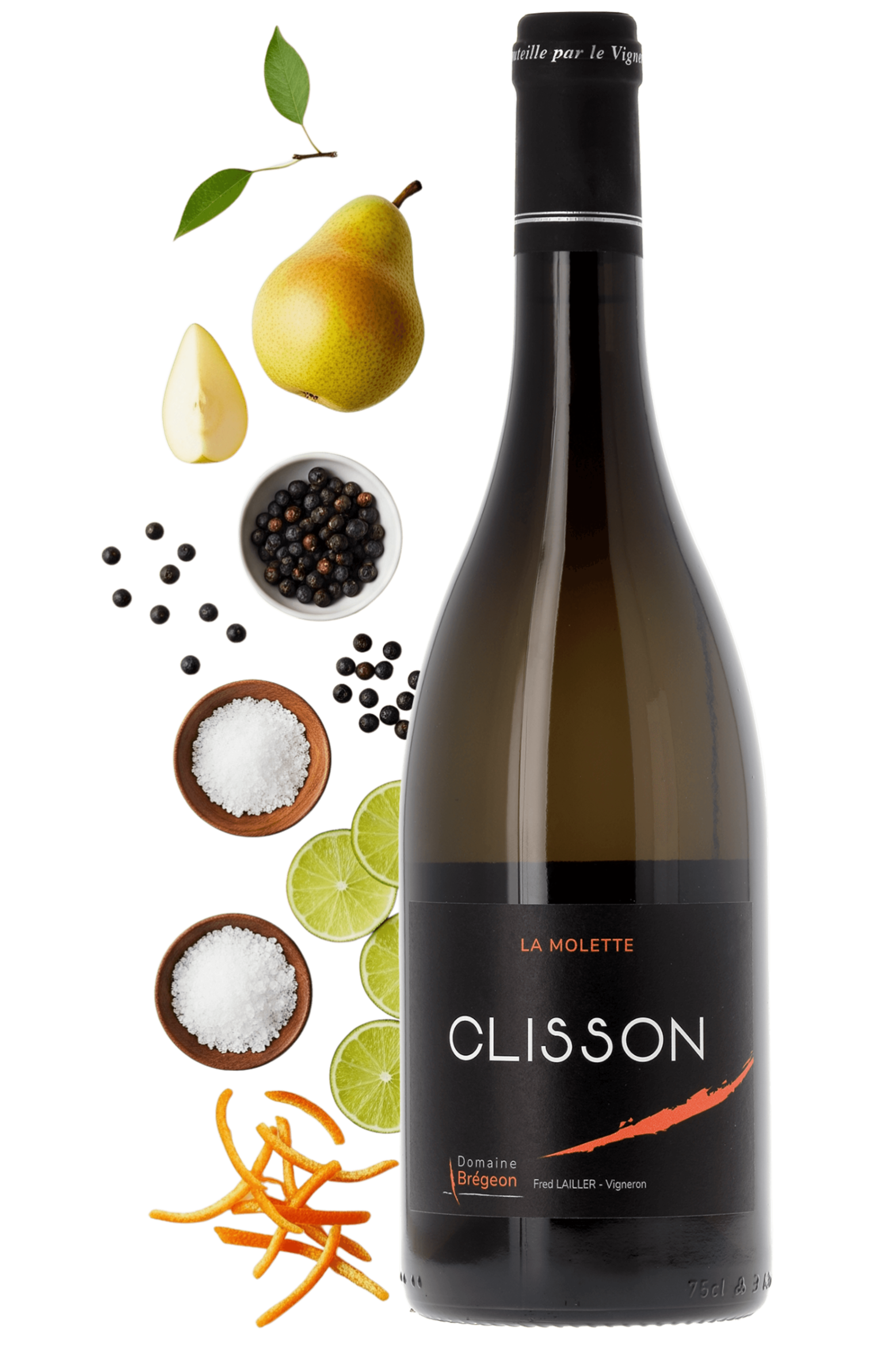 Muscadet Sèvre et Maine Clisson La Molette Domaine Brégeon 2020 - frontbs