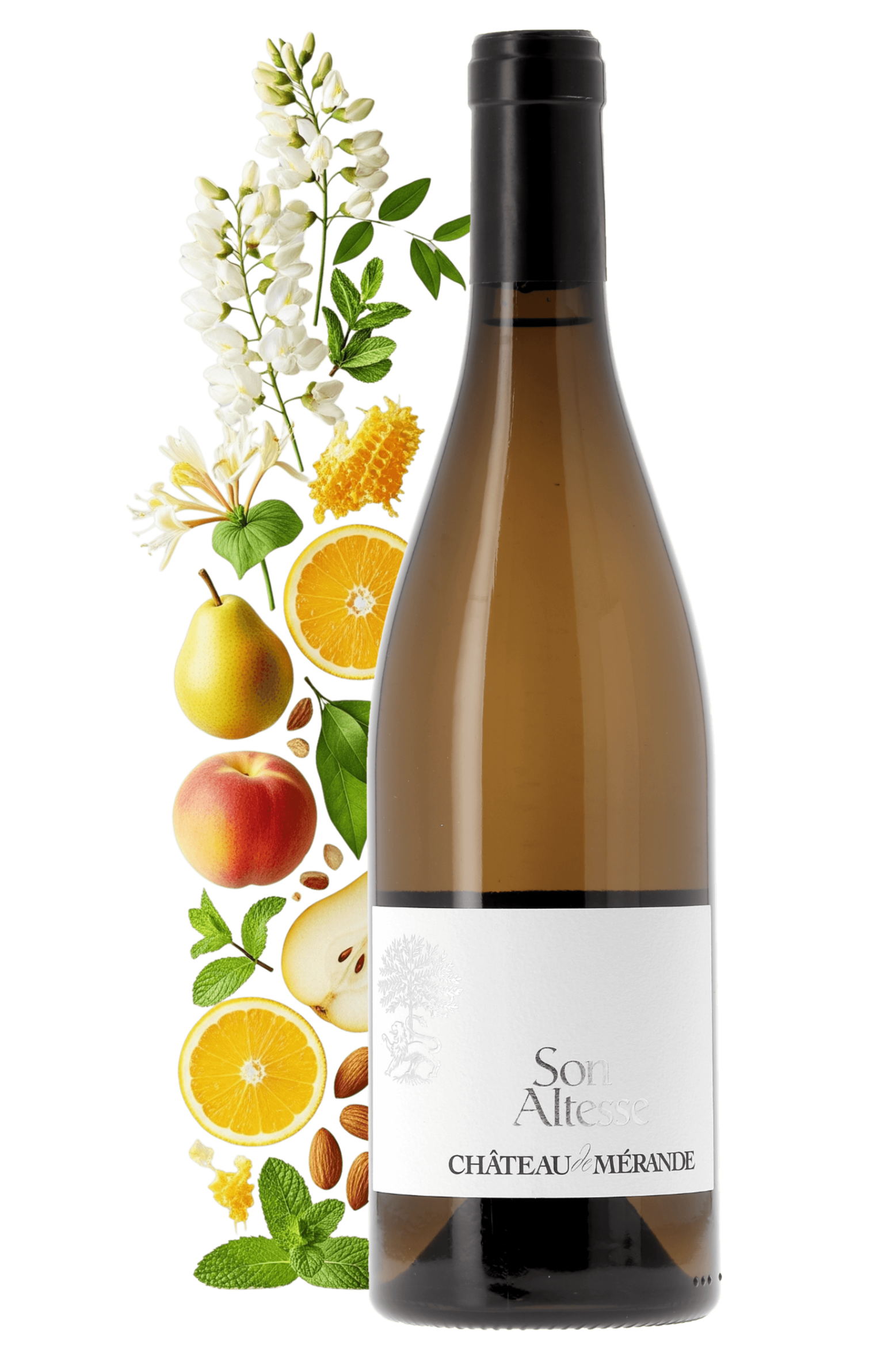 Roussette de Savoie Son Altesse Château de Mérande 2021 - frontbs