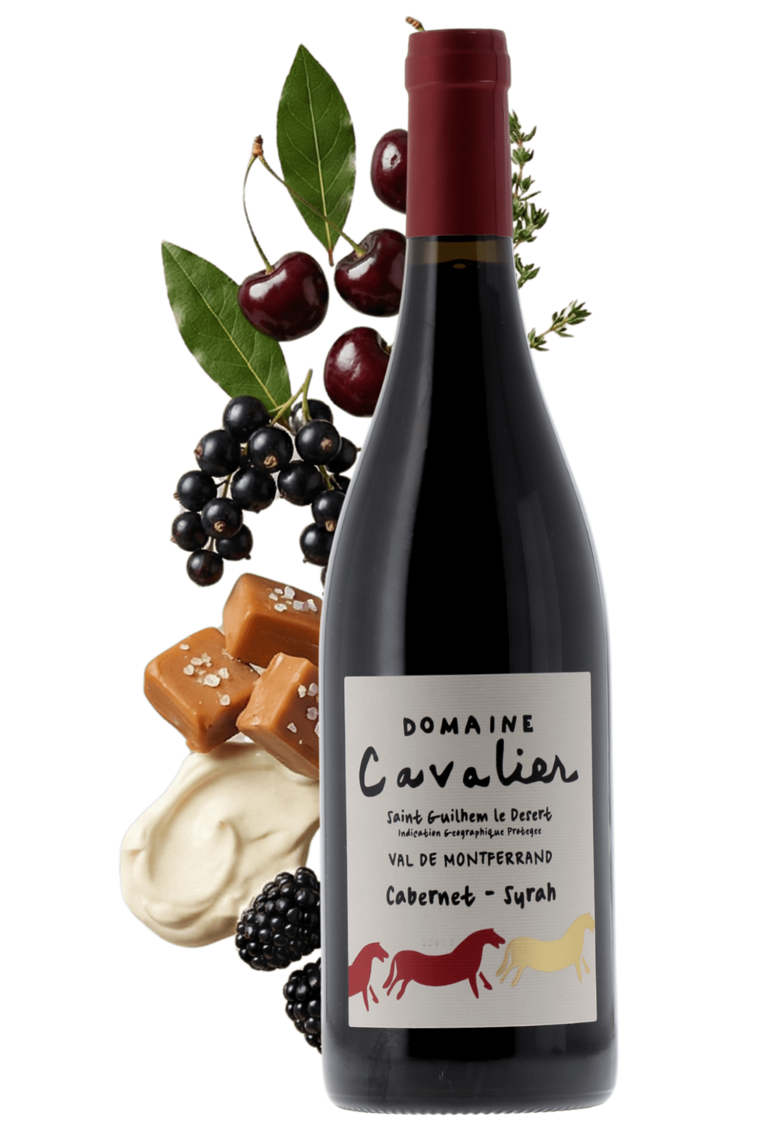 Saint-Guilhem-le-Désert Domaine Cavalier 2024 - frontbs