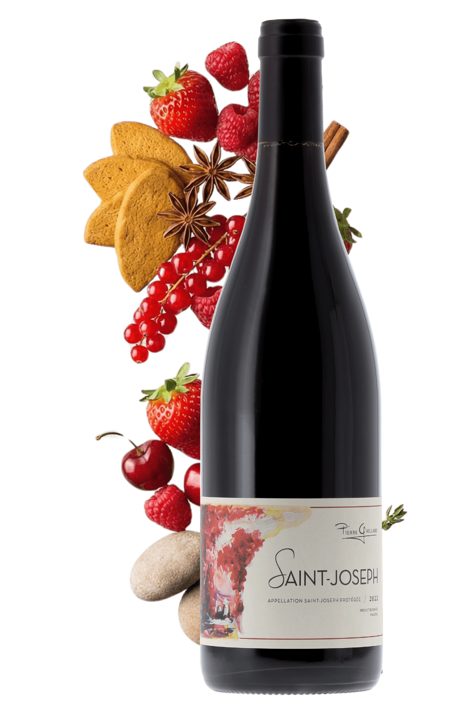 Saint-Joseph Domaine Pierre Gaillard 2022 - frontbs