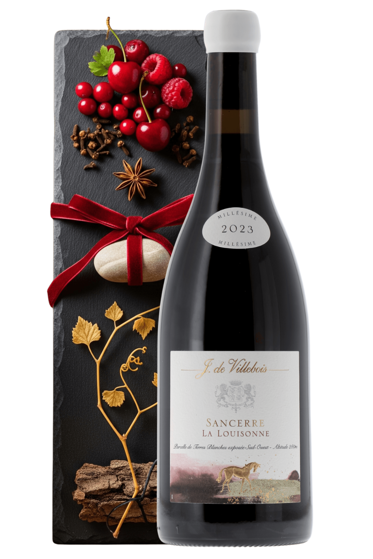 Sancerre La Louisonne J. de Villebois 2023 - frontbs