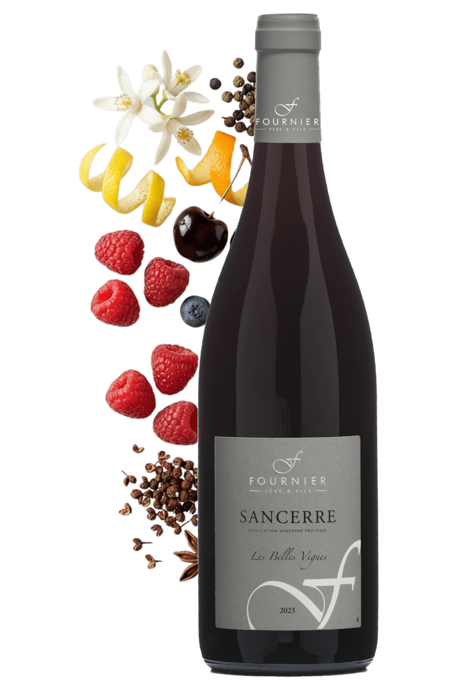 Sancerre Les Belles Vignes Fournier Père et Fils 2023 - frontbs