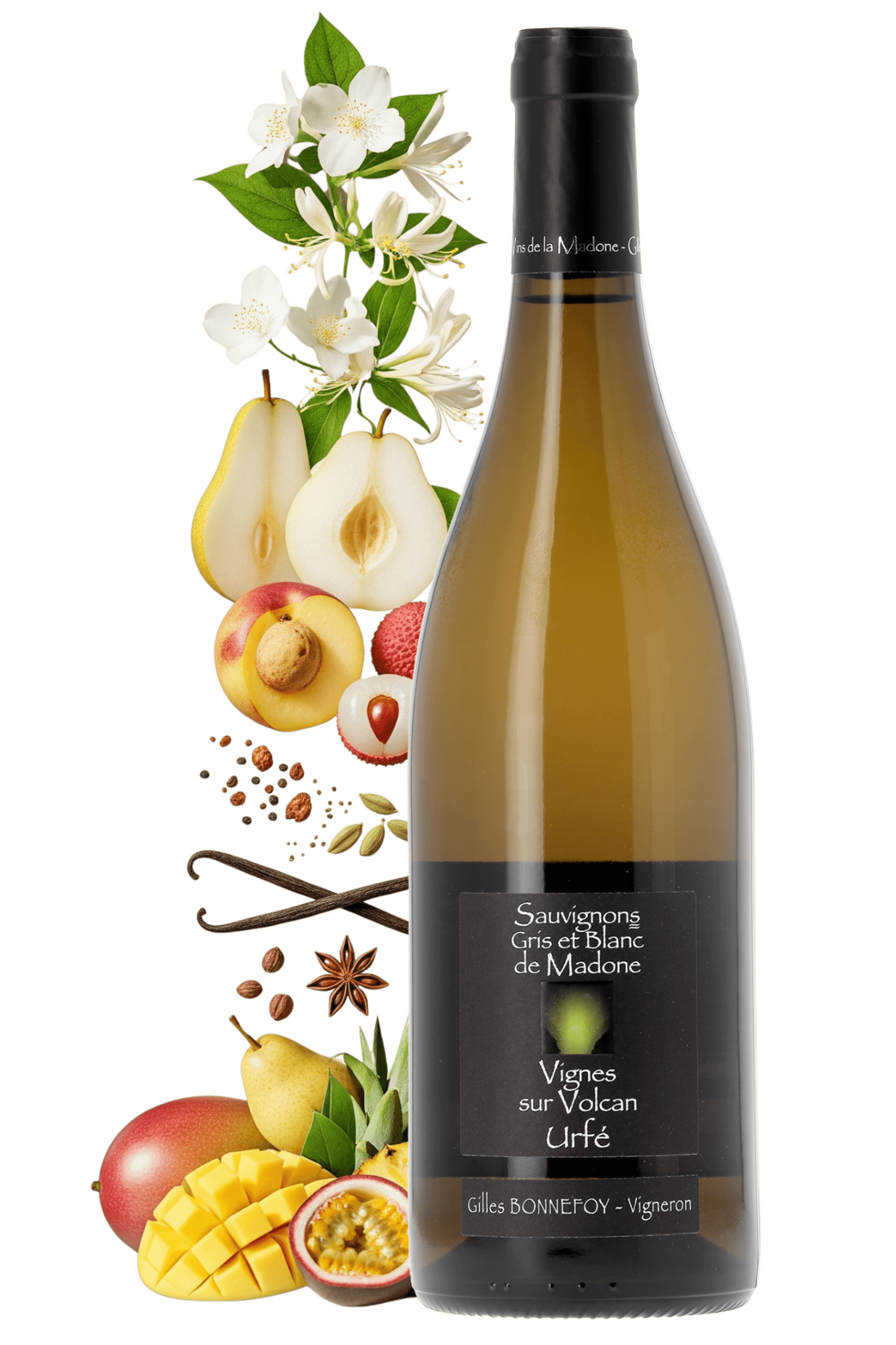 Urfé Sauvignon Gris et Blanc Les Vins de la Madone 2024 - frontbs