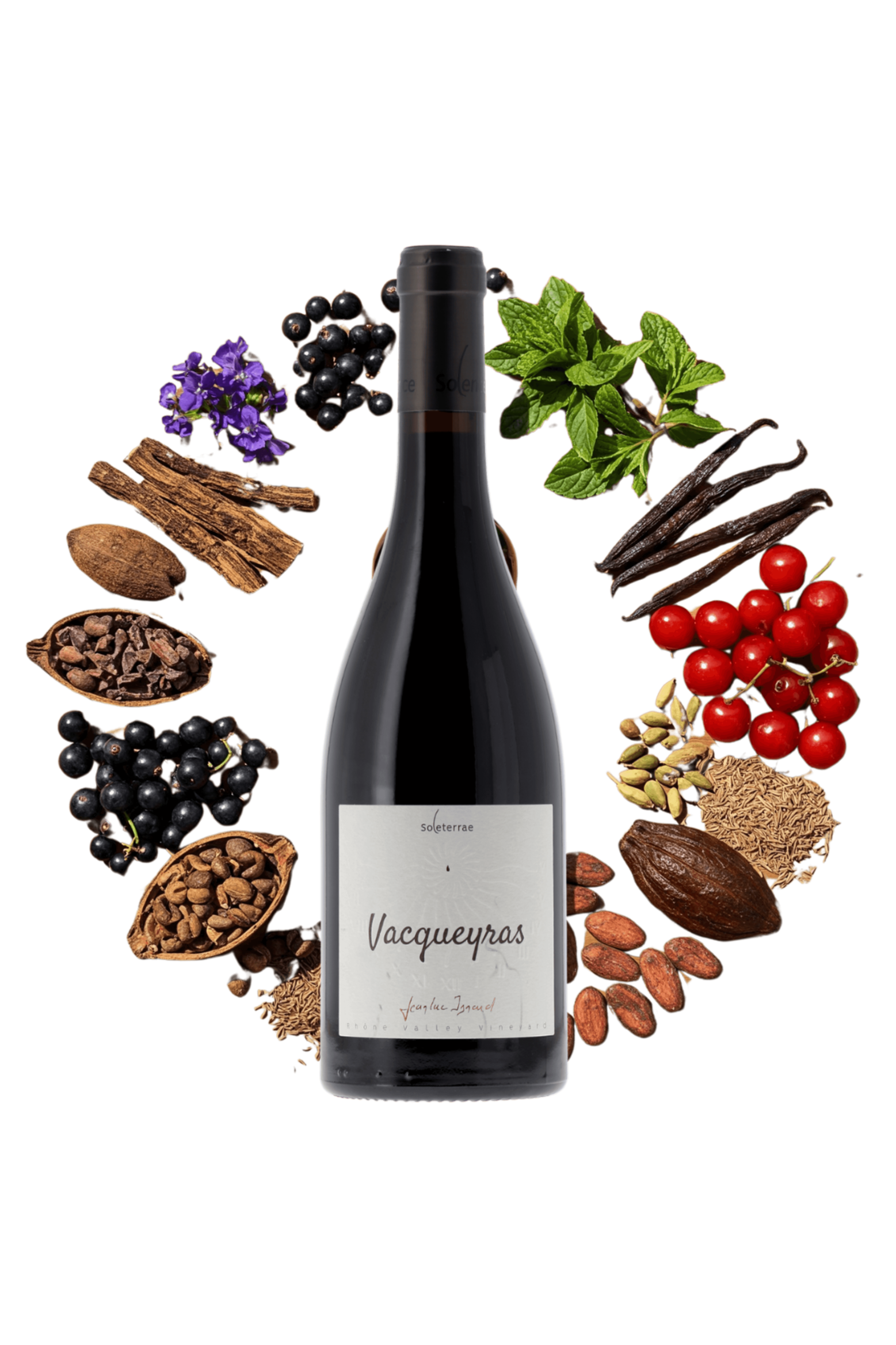 Vacqueyras Domaine Solence 2022 - frontbs