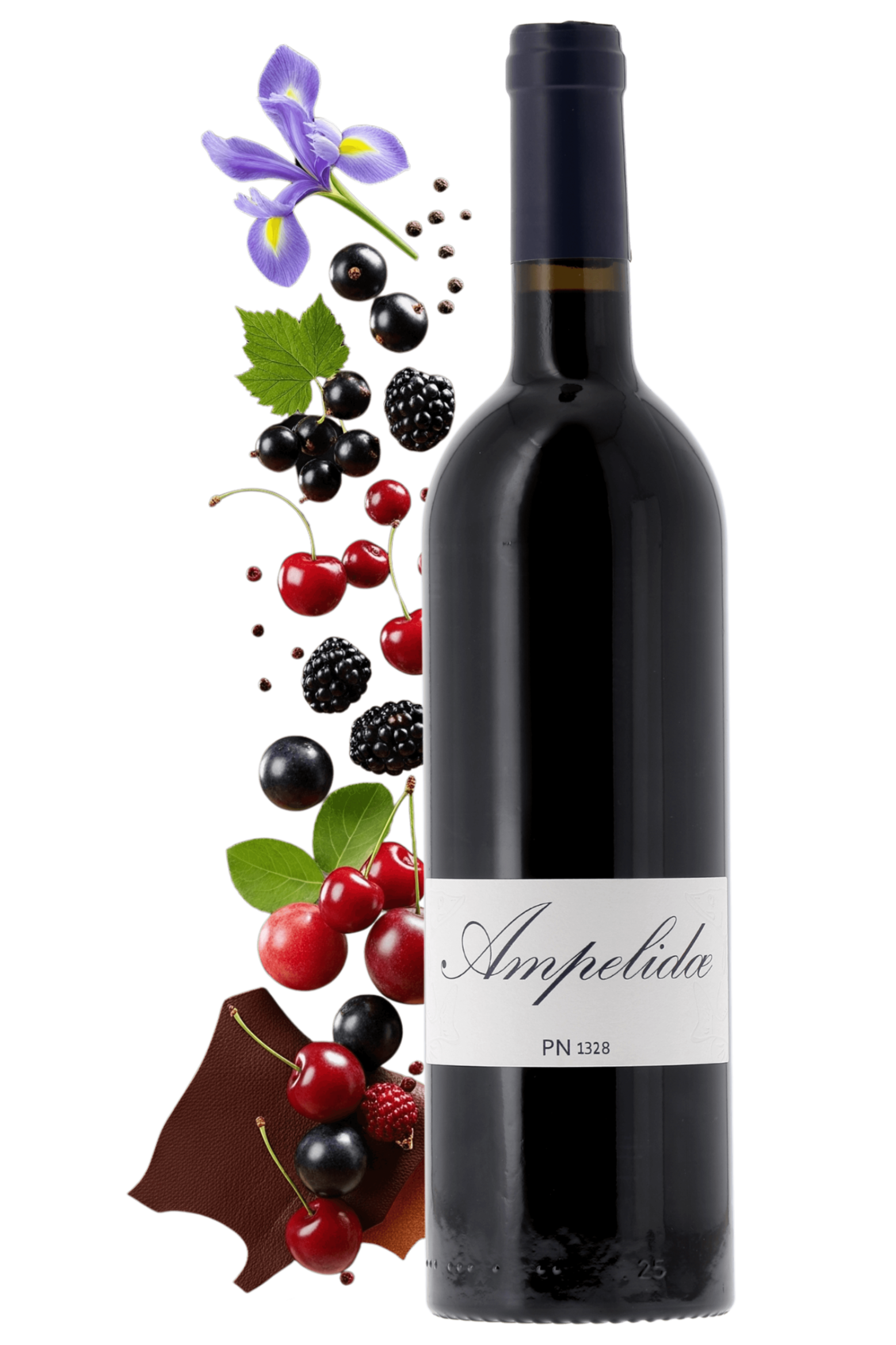 Val de Loire PN 1328 AMPELIDAE 2022 - frontbs