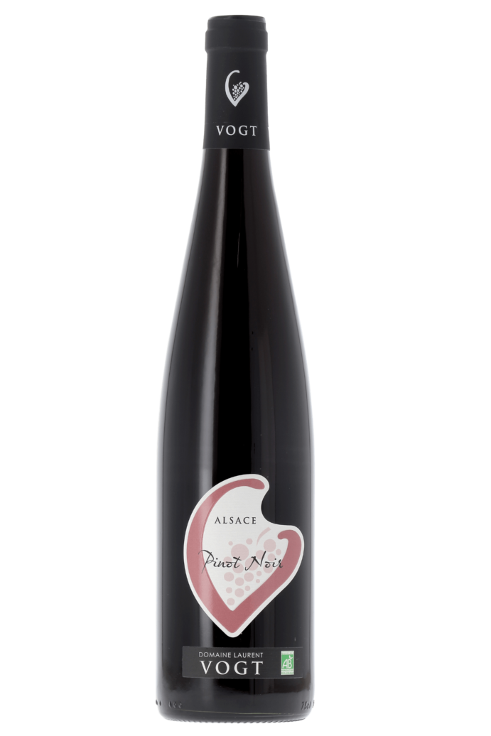 Alsace Domaine Laurent Vogt 2024 - frontbs
