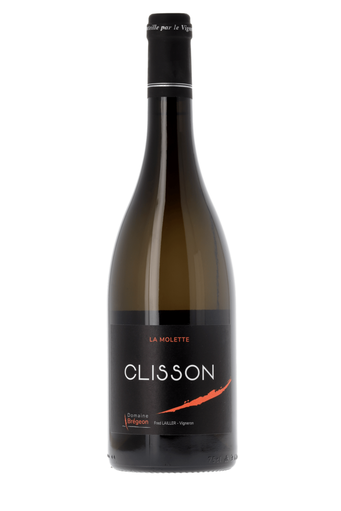 Muscadet Sèvre et Maine Clisson La Molette Domaine Brégeon 2020 - frontbs