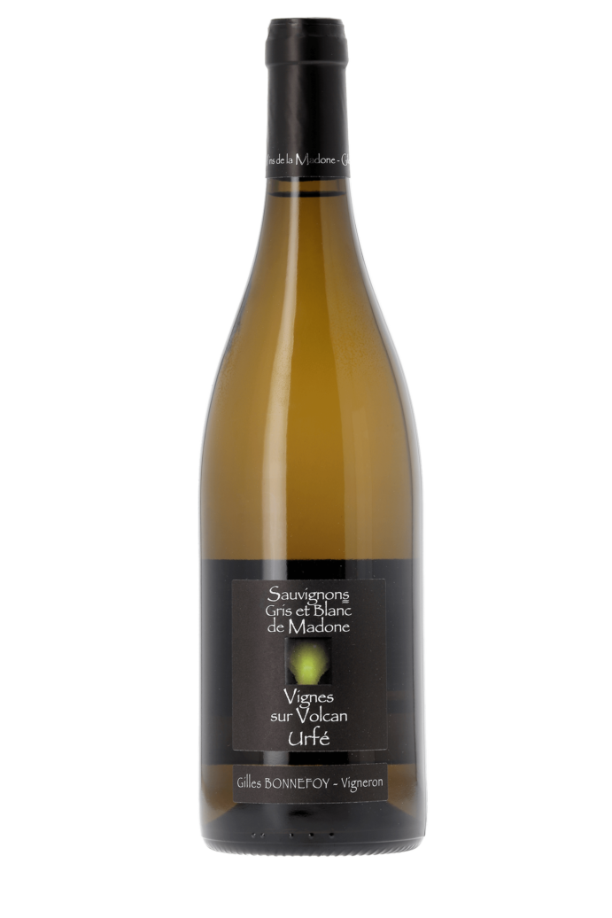 Urfé Sauvignon Gris et Blanc Les Vins de la Madone 2024 - frontbs