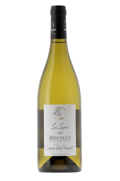 Reuilly Les Lignis Domaine Valery Renaudat 2023 - frontbs