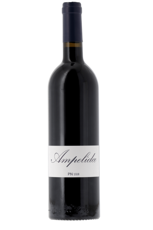 Val de Loire PN 1328 AMPELIDAE 2022 - frontbs