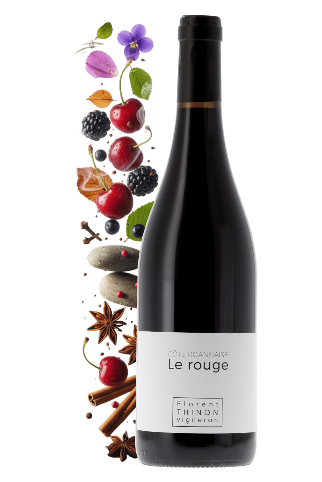 Côte Roannaise Le Rouge Domaine Florent Thinon 2024 - frontbs
