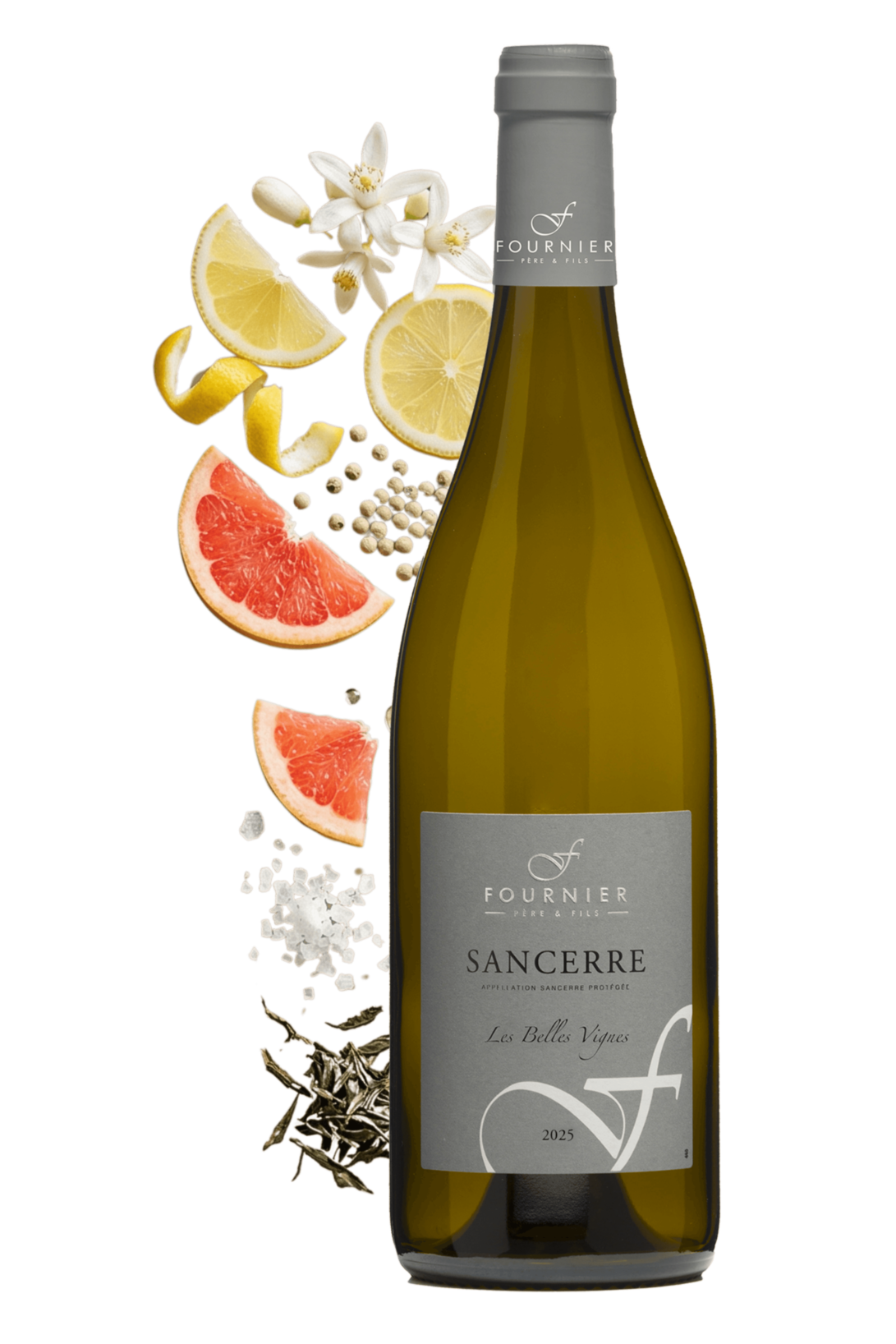 Sancerre Les Belles Vignes Fournier Père et Fils 2025 - frontbs
