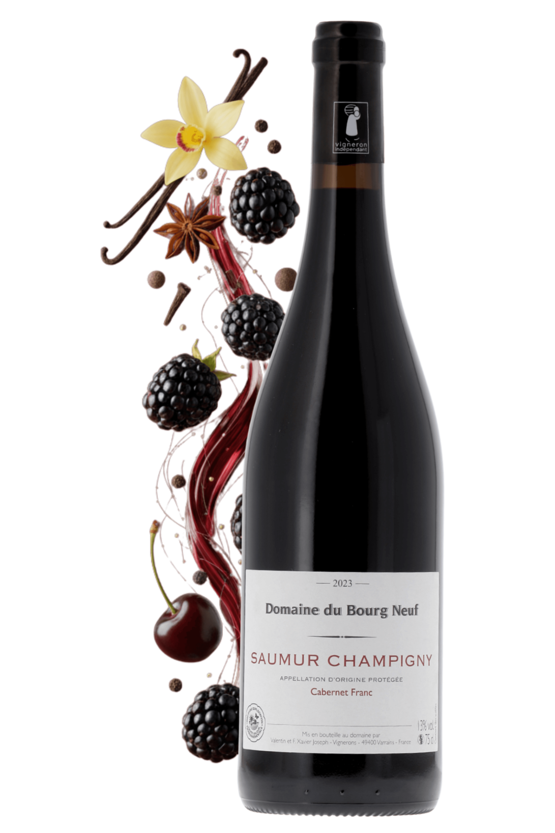 Saumur-Champigny Domaine du Bourg-Neuf 2023 - frontbs